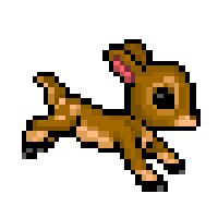 fawn-run