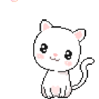 happy-cat